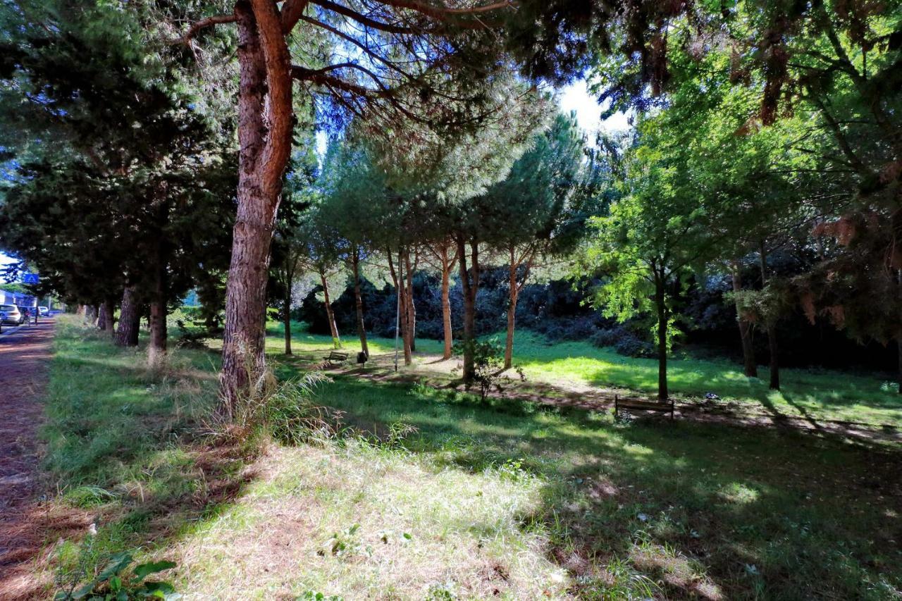 Aurelia Relax Apartment Ρώμη Εξωτερικό φωτογραφία